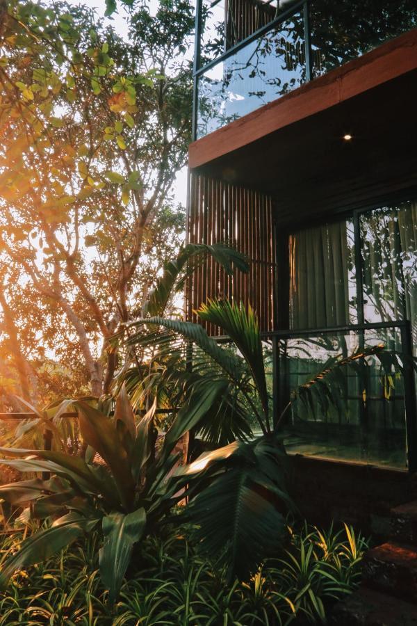 Amazonika Boutique Resort อาร์โปรา ภายนอก รูปภาพ