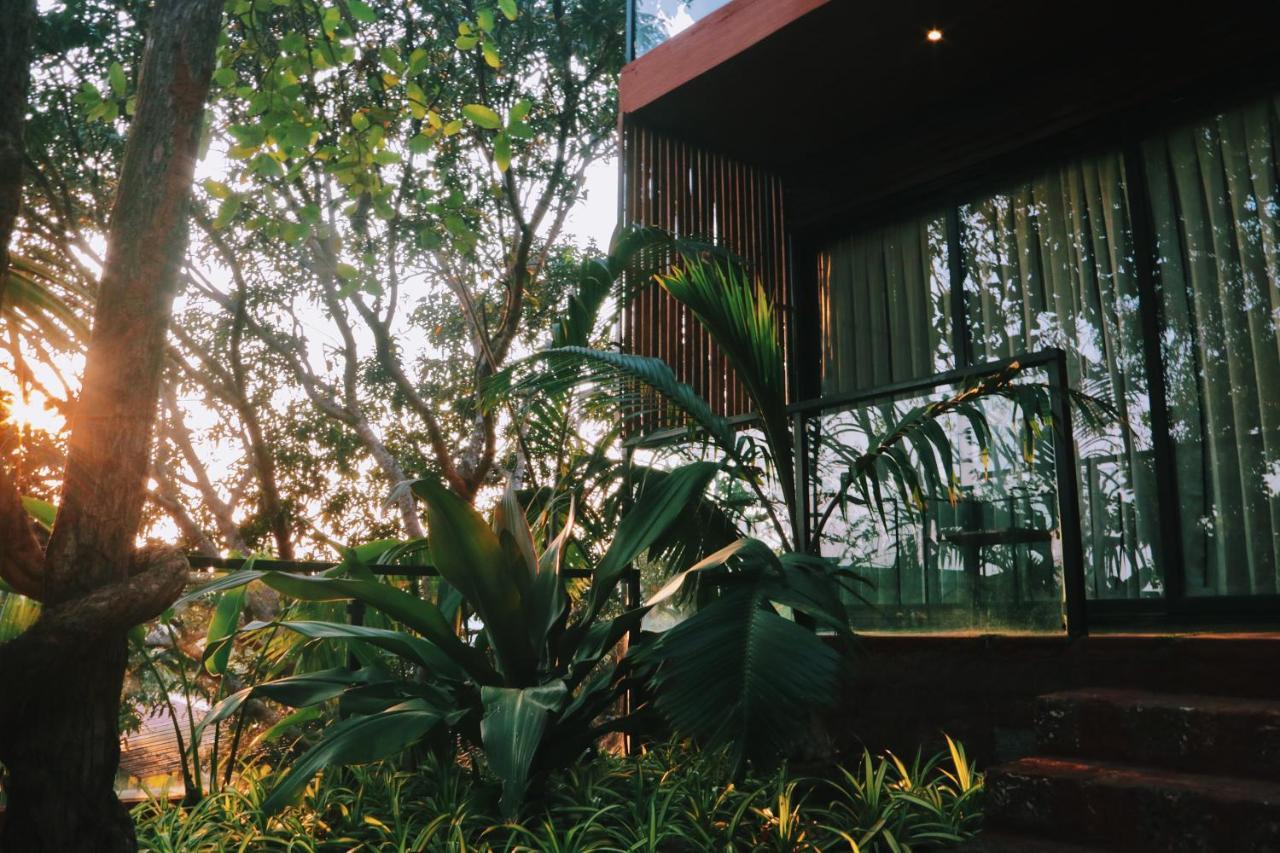 Amazonika Boutique Resort อาร์โปรา ภายนอก รูปภาพ