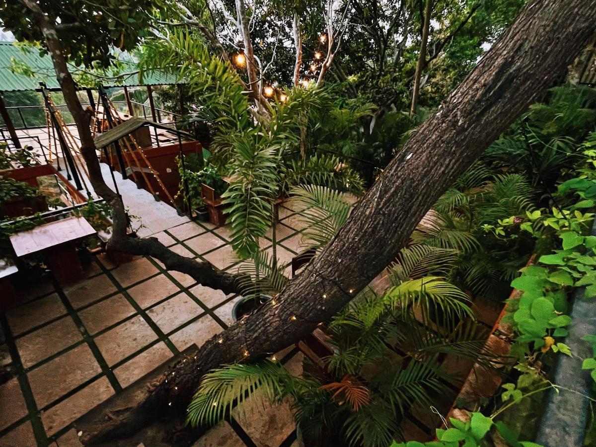 Amazonika Boutique Resort อาร์โปรา ภายนอก รูปภาพ